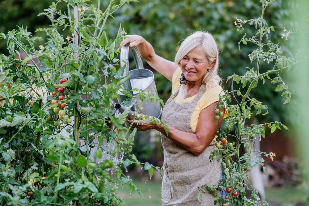 Fruehlingserwachen im Garten - so bereiten Sie Ihren Garten auf den Fruehling vor