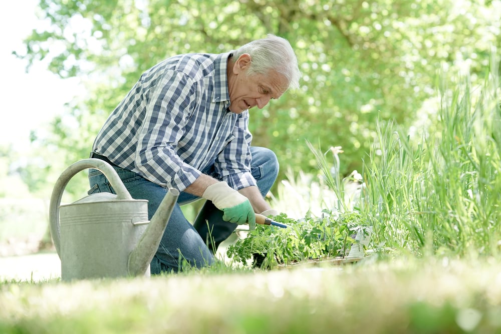 Garten_im_Sommer_pflegen_Tipps_1