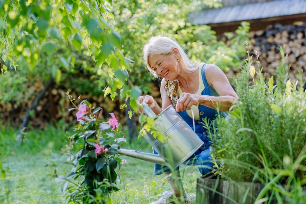 Garten_im_Sommer_pflegen_Tipps_3