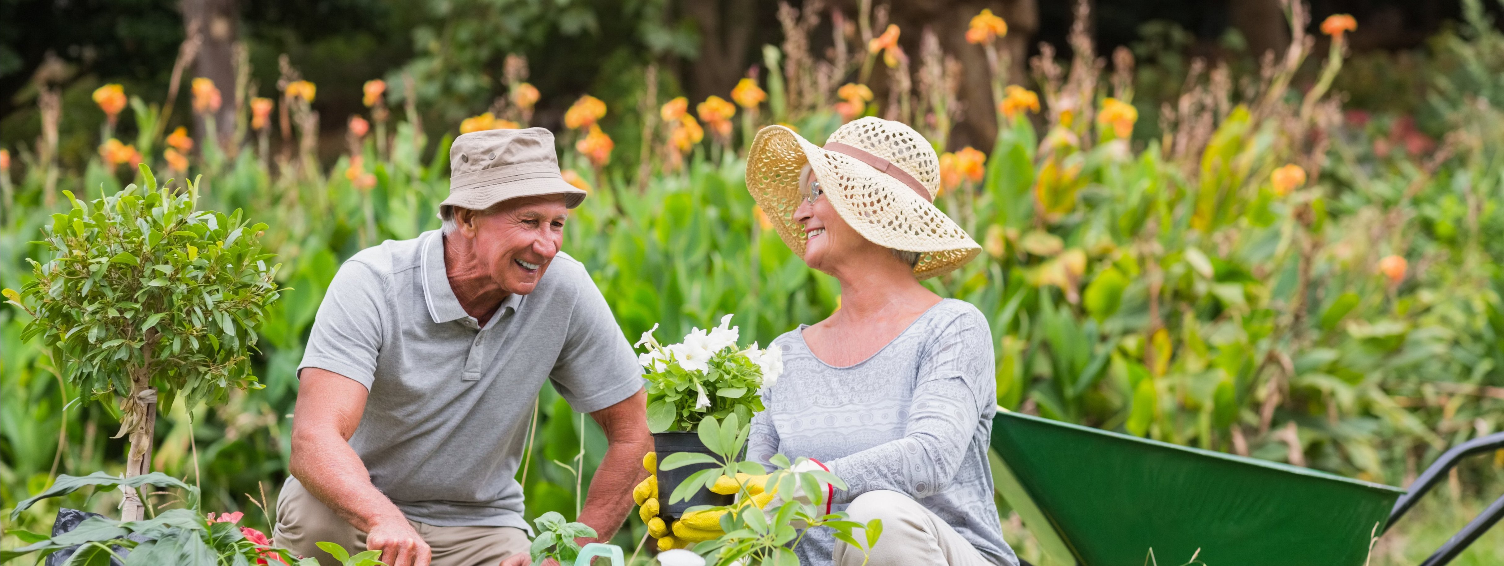 Garten winterfest machen Diese 10 Tipps sollten Sie beachten!